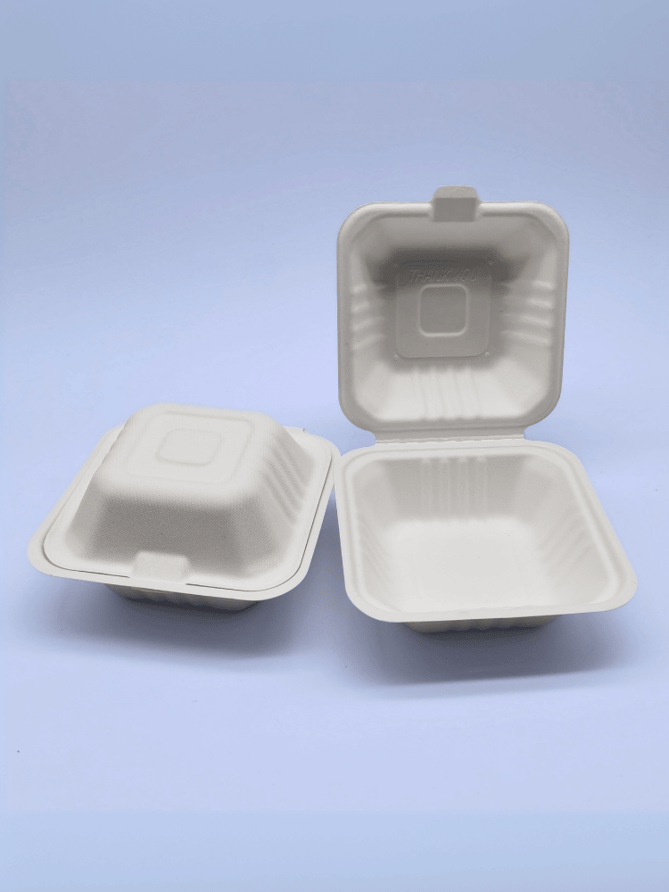 A closed white bagasse clamshell takeaway container next to an open one, against a light blue background.