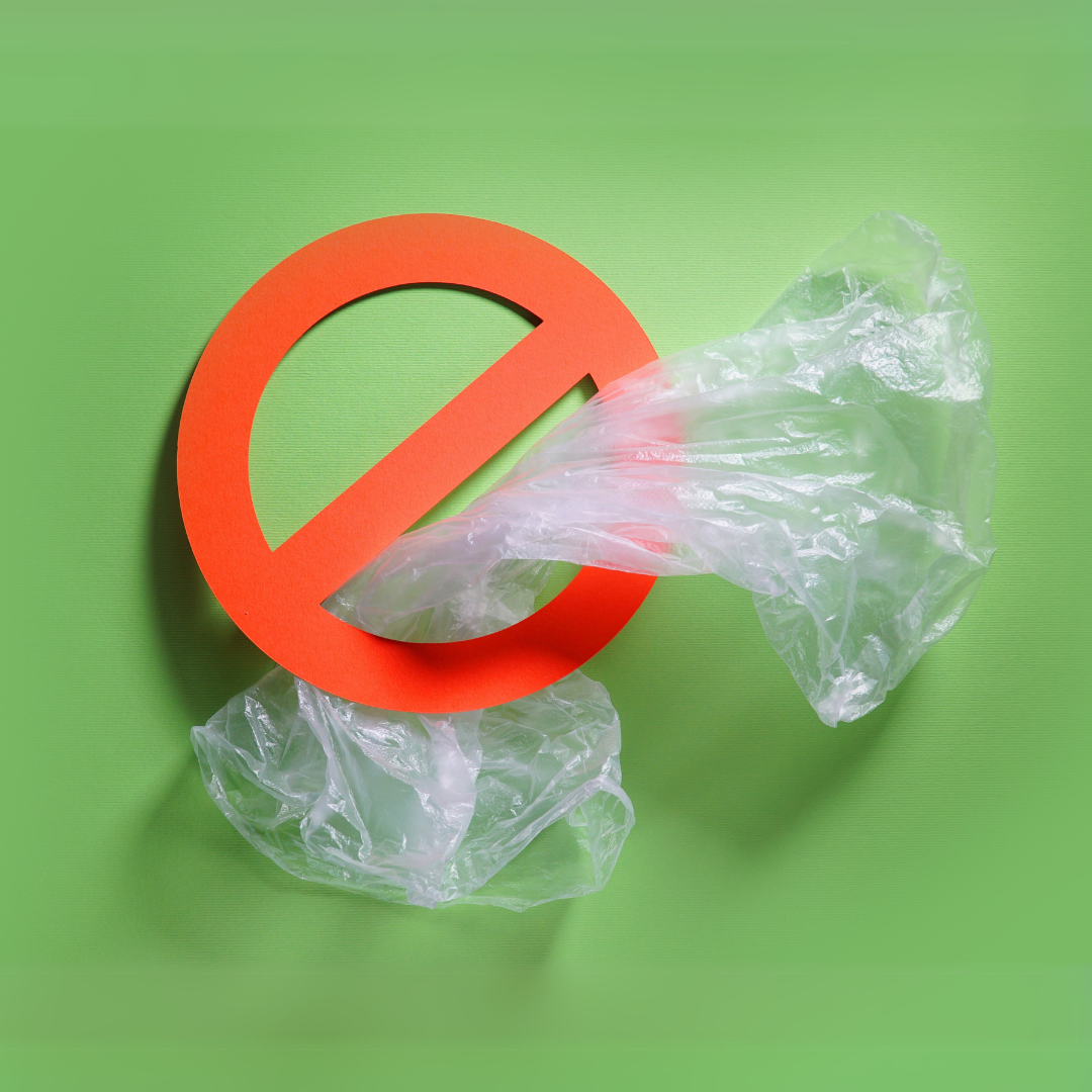A clear plastic bag positioned over a red banned symbol on a green background.