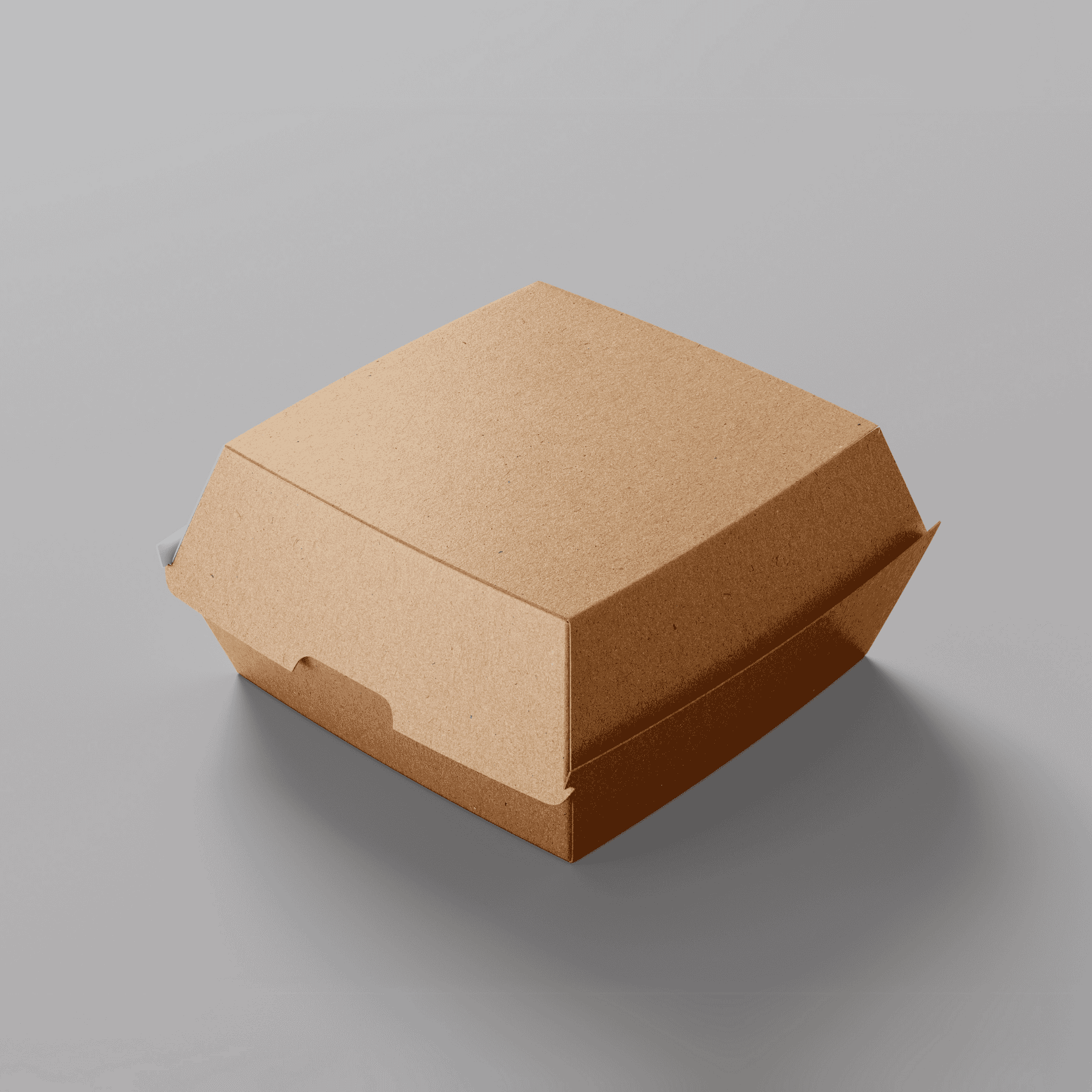 Burger Boxes