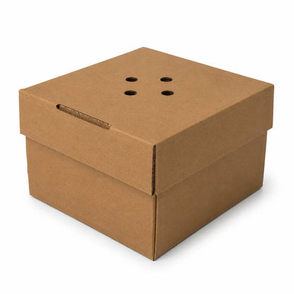 Kraft Burger Box 90 Pack featuring four round ventilation holes on the top and a slot on one side, displayed against a white background. This recyclable box is ideal for eco-friendly food packaging needs.